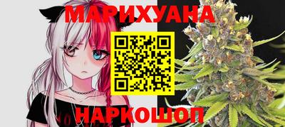 прущие грибы Кандалакша