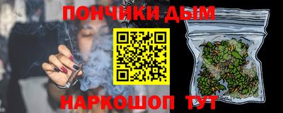 прущие грибы Кандалакша