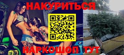 прущие грибы Кандалакша