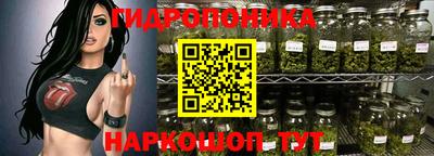 прущие грибы Кандалакша