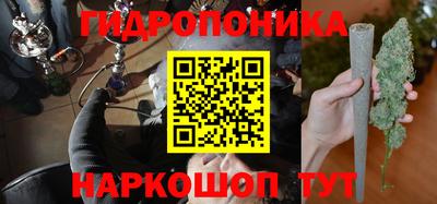 прущие грибы Кандалакша