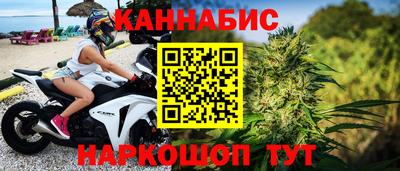 прущие грибы Кандалакша
