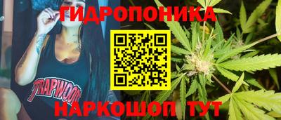 тгк Камышлов