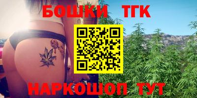 тгк Камышлов