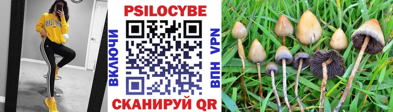 Псилоцибиновые грибы Cubensis  Геленджик 