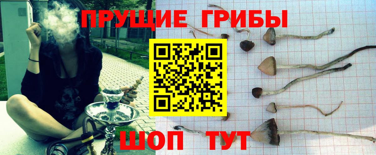 Псилоцибиновые грибы MAGIC MUSHROOMS  Вход с VPN  Геленджик 