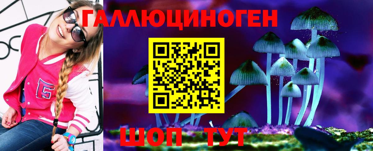 Галлюциногенные грибы прущие грибы Геленджик