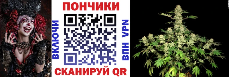 Канабис ГИДРОПОН  Геленджик 
